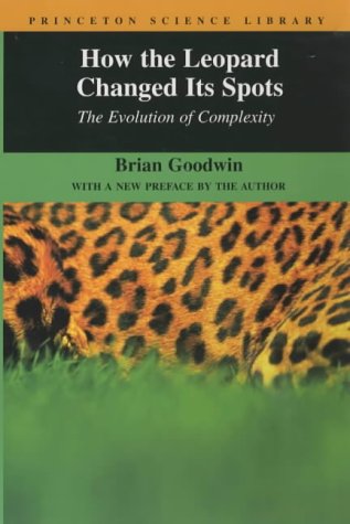 Goodwin-Leopard.jpg