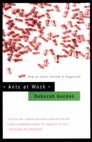Gordon-Ants.jpg