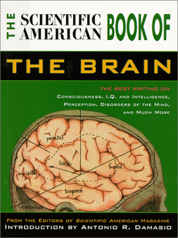 SciAm-Brain.jpg